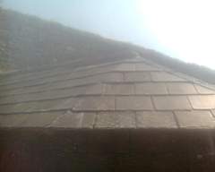shannonbridge cap-1882.jpg